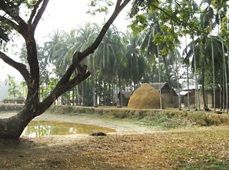 Assam village